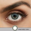 Miniatyrbild 7 av 11: Färgade Linser – Romance Series – 12 Månader – Pearl Gray Pearl Gray