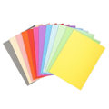 Miniatyrbild 2 av 3: Undermapp Exacompta Forever Multicolour A4 100 Delar (5 antal)