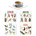 Pikkukuva 3 / 7: Bird Coasters Funny Bird Pun Coasters Ympäristöystävällinen imukykyinen De