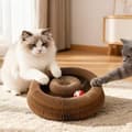 Katt Curl Leksak Vikbar Magisk Organ Kattklösbräda Återvinningsbar