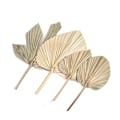 Miniatyrbild 2 av 5: Palm Fan Leaf Torkad Blomma Palm Leaf Festdekoration Bröllop S C