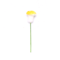 Miniatyrbillede 7 af 8: 100 stk Farverig kunstig svampemodel actionfigur miniat Red