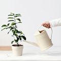 Miniatyrbilde 5 av 5: 2L lang munnvannskanne. Praktiske blomster Hageverktøy Beige