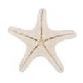 Pikkukuva 8 / 8: Meritähti Crafts Decor Meritähti DIY Shell Sea Fish Party Beige S