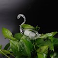Miniatyrbillede 8 af 8: 11 typer glasblomster vandføder Automatisk selvvanding De 2