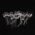 Miniatyrbild 5 av 5: 20st miniatyr 3/4 mm 6V 12V lampa glödlampa Edison Incandescen 6V