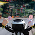 Pikkukuva 3 / 8: Wind Broken Bicycle ja Little Pink Pig Propeller Tuulta rikkova A3