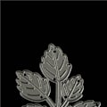 Miniatyrbillede 6 af 8: 1 stk blade Metal ting Dies Stencils til DIY scrapbogskort D Silver