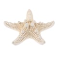 Pikkukuva 1 / 8: Meritähti Crafts Decor Meritähti DIY Shell Sea Fish Party Beige S
