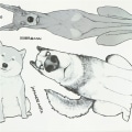 Miniatyrbillede 7 af 8: Dejlig hund er en ven wallstickers boligindretning