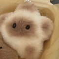 Miniatyrbillede 1 af 8: Capybara Plys Dukke Stjerne Squeak Toy Cartoon Star Nøglering Penda B