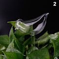 Miniatyrbillede 1 af 8: 11 typer glasblomster vandføder Automatisk selvvanding De 2