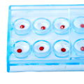 Miniatyrbilde 4 av 8: 10 stk/boks Akryl Diamond Dental Materiale Stud Tooth Gems Jewe Multicolor