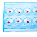 Miniatyrbillede 4 af 8: 10 stk./æske Akryl Diamond Dental Materiale Stud Tooth Gems Jewe Multicolor