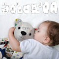 Miniatyrbild 4 av 5: Memory Bear Template Linjal Set(10 PCS), 10 PCS Memory Bear Template R
