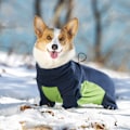 Miniatyrbillede 2 af 4: Fleece hundekåbe, vinterhundekåbe med ben, varm termojakke, hundetrøje med mavebeskyttelse