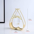 Miniatyrbillede 5 af 5: Desktop Plantevaser med Reagensglas Blomster Vase med Guld Metal Stativ