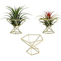 Miniatyrbillede 1 af 5: Geometrisk luftplanteholder Luftplanter Stativ Metalplanter Stativ Hylde