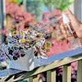Miniatyrbild 4 av 5: 10 st transparenta sprayflaskor tomma sprayflaskor 100 ml