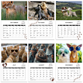 Miniatyrbilde 3 av 7: Ny 2025 Hunder Bæsjer Kalender 2025 Chroma