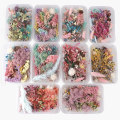 Miniatyrbillede 1 af 5: Tørrede blomster Naturlig blomsterkunst Craft Scrapbooking Resin Jewel Multicolor 1Pc