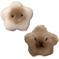 Miniatyrbild 7 av 7: Capybara Star plyschdocka Squeak Toy Cartoon Star Nyckelring Penda C onesize