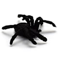 Miniatyrbillede 4 af 7: 5 stk. Fleksible Plast Simulation Edderkopper Sort Joke Prank Legetøj Ha Black