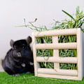 Miniatyrbillede 5 af 5: Træ Høholder til Kæledyr (Beige 15.5 x 15.5 x 8 cm), Træ Høholder til Hegn, Kanin, Marsvin, Chinchilla