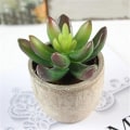 Miniatyrbilde 2 av 3: Simulerte sukkulenter i potter Grønne planter Mini kunstige planter i potter White