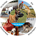 Miniatyrbillede 5 af 5: Justerbar hundemundkurv i plastik L, Reflekterende Sort, Blød Gummi Sikkerhedskurv Åndbar Mund Justerbar Rem, Velegnet til Små, Mellemstore og Store Hunde, A