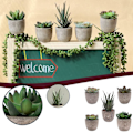 Miniatyrbilde 3 av 3: Simulerte sukkulenter i potter Grønne planter Mini kunstige planter i potter White