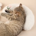 Miniatyrbilde 3 av 5: Liten Pute for Katter, Ultra Myk Fluffy Kjæledyr Beroligende Leke Halv Smultring Kosepute for Leddlindring Søvnforbedring Maskinvaskbar