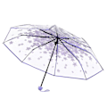 Miniatyrbild 2 av 5: Transparent klart paraply PP