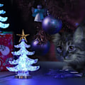 Miniatyrbild 7 av 7: Akryl Julgran Nattlampa USB Färgglad Ljusstark Bordlampa LED Nattlampa Juldekoration för Barnrum Sovrum Hemfest 2 st