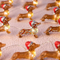 Miniatyrbillede 3 af 4: Dværgspids Hund Lysstreng, Led Batteridrevet, Dekorativ Indendørs Juletræ Without remote control