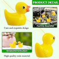 Miniatyrbilde 3 av 5: 100 stk Mini Gule Ender Ducklings Tiny Duckies Hage Landskap Akvarium Dukkehus Potteplanter Dekorasjon