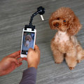 Miniatyrbillede 2 af 11: Justerbar kæledyr selfie stick telefonholder til kæledyr hund til kat til telefon en sort