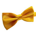Miniatyrbild 1 av 5: Sinknap Fluga Solid Färg Lätt Att Använda Polyester Justerbar Fluga Förknutna för Formella Tillfällen Champagne