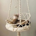 Miniatyrbilde 5 av 5: Hengekøye for katt i makrame-design, beige 50cm