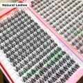 Miniatyrbillede 5 af 6: 352 klynger individuelle øjenvipper Lange Naturlige 3D