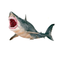 Miniatyrbillede 1 af 2: Megalodon forhistorisk haj model figur legetøj