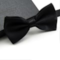 Miniatyrbild 4 av 5: Sinknap Fluga Solid Färg Lätt Att Använda Polyester Justerbar Fluga Förknutna för Formella Tillfällen Champagne