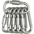 Aluminiumlegering D-ring Låskarbinhake Lättviktig Men Stark
