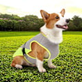 Miniatyrbild 3 av 4: Kylväst för hund, Kylväst för husdjur, Hundkläder L