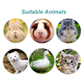 Miniatyrbild 4 av 5: Kanin Vattenflaska 17 OZ Bunny Hängande Vattenfontän Automatisk Marsvin Vatten Dispenser Ingen Läckage Drickande Matare