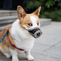 Miniatyrbillede 3 af 3: Hunde snude nylon blød snude anti-bidning gøen Securemesh åndbar kæledyr mund dække til små mellemstore store hunde