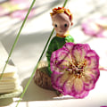 Miniatyrbillede 4 af 5: Store lilla tørrede pressede blomster til harpiks, store ægte naturpressede blomsterblade til DIY-håndværk, lys- og scrapbogsmaterialer
