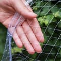 [RM] Cat Net for Balcony and Window - Bird Net and Fruit Protection Net 10x10 m, Transparent Safety Net 10×10m