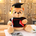 Miniatyrbild 2 av 5: Examen souvenir Dr. Bear Doll Nallebjörn plyschdjur med hatt studentgåva Dark Brown 35 cm - 0.4 kg