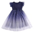 Miniatyrbillede 1 af 5: Børn Pige Stjerneklart Himmel Gradient Prinsesse Kjole Fest Fødselsdag Tutu Tyl Kjoler 9-10 Years